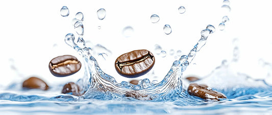 Why Water Quality is Critical for Coffee and Espresso Brewing